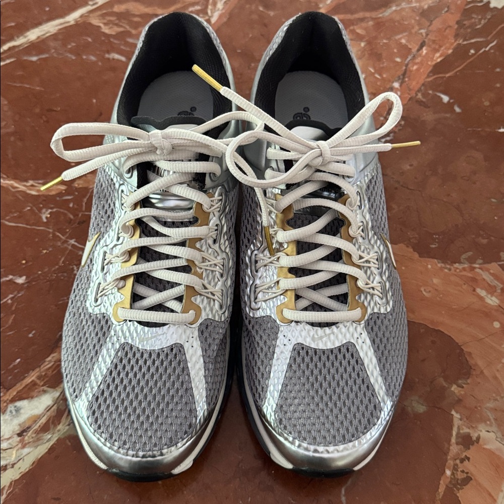 Nike Air Max Metallic Gray Sneakers